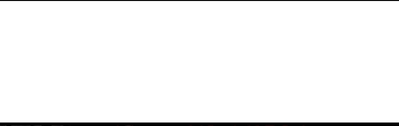 Página 239