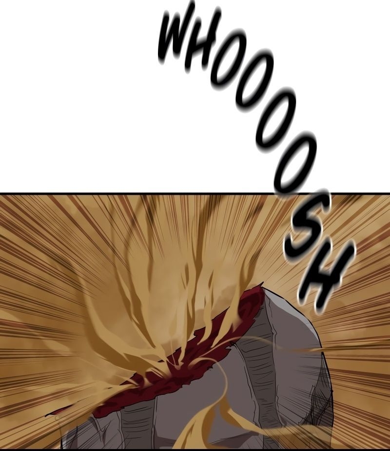 Página 116