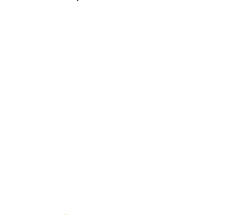 Página 218